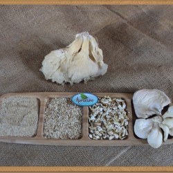 kurutulmuş istiridye mantarı