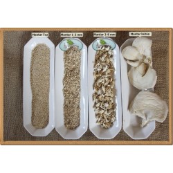 kurutulmuş istiridye mantarı