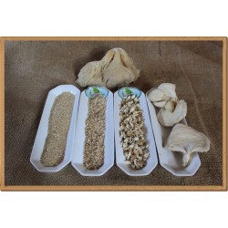 istiridye mantar tozu