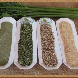 Toptan kereviz kökü tozu