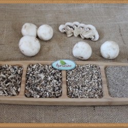 Kültür Mantarı Tozu