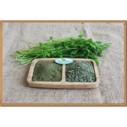 kurutulmuş maydanoz