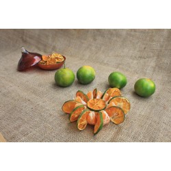 kurutulmuş mandalina