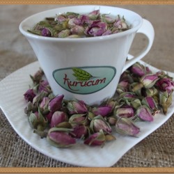 Tomurcuk Gül Kurusu