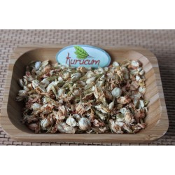 kurutulmuş yasemin çiçeği