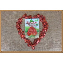 çilek cipsi-15 gram