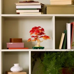 10348  iconic Japon Akçaağaç Bonsai Ağacı 474 parça +18 yaş