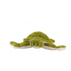 6299 DENİZ KAPLUMBAĞA