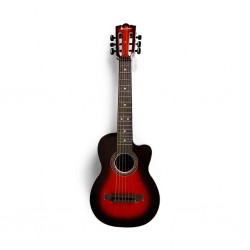 Akustik Gitar 69 cm