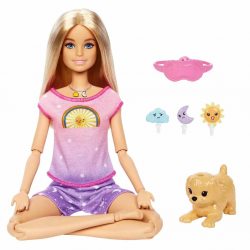Meditasyon Yapıyor Oyun Seti HHX64