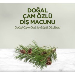 Doğal Diş Macunu 90 Gr Çam Özlü