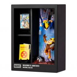 Wolverine Sabretooth'a Karşı