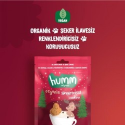 Humm Organik Zencefilli ve Tarçınlı Vegan Kurabiye 55 Gr