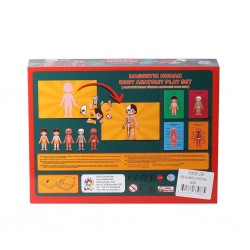 LC986ManyetikAktiviteİnsanAnatomisi-Laço