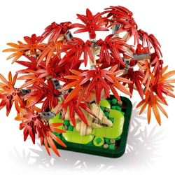 Botanicals Japon Kırmızı Akçaağaç Bonsai Ağacı 10348